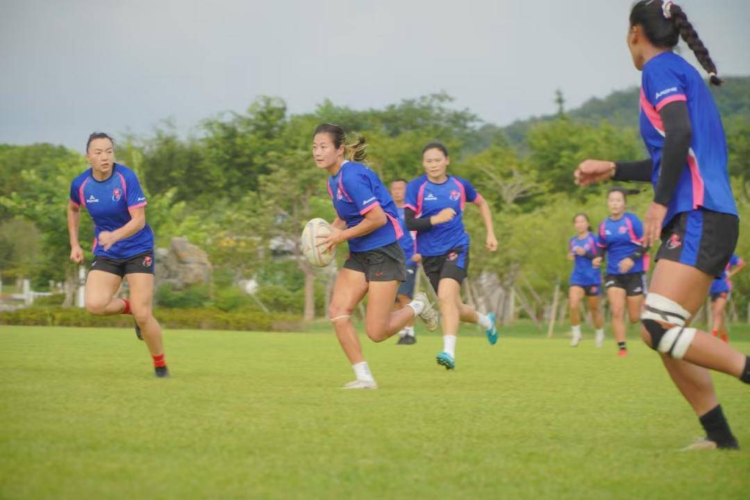 条不紊地进, 已累计向国 条不紊地进, 已累计向国