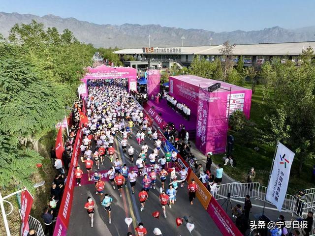 气与新媒体 气与新媒体