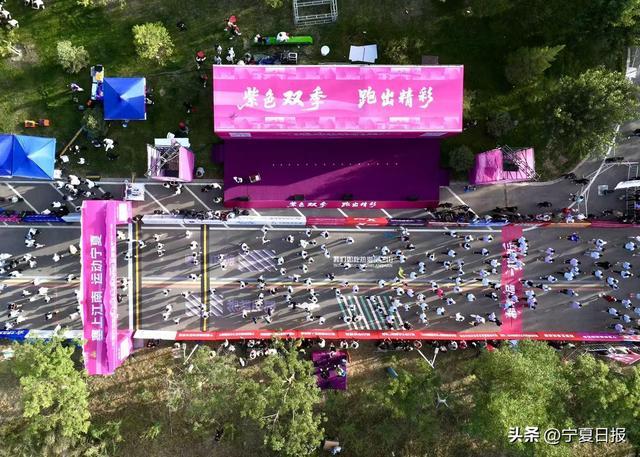 了群众参与 了群众参与