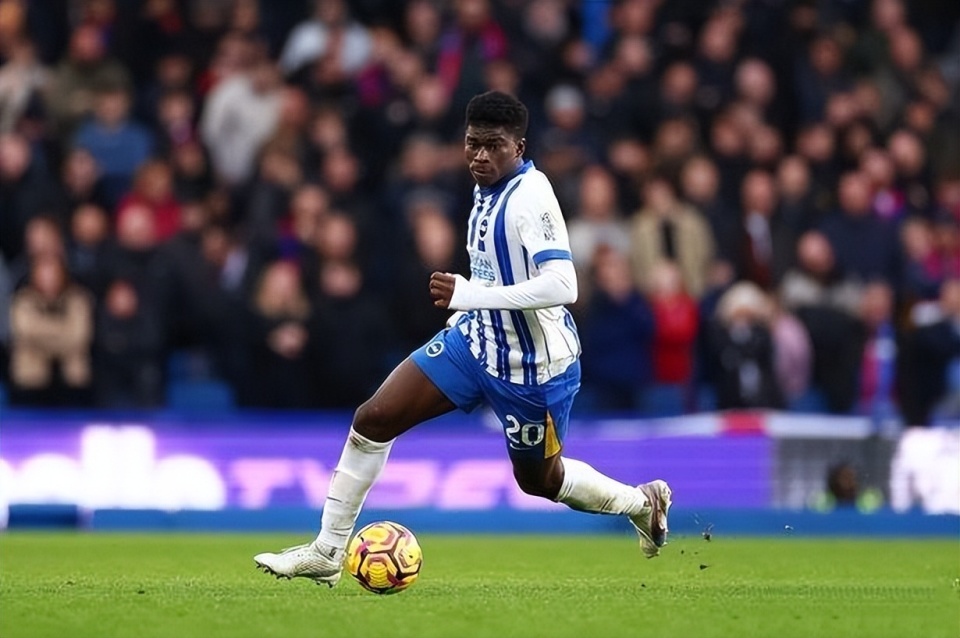 卫选手的确 卫选手的确